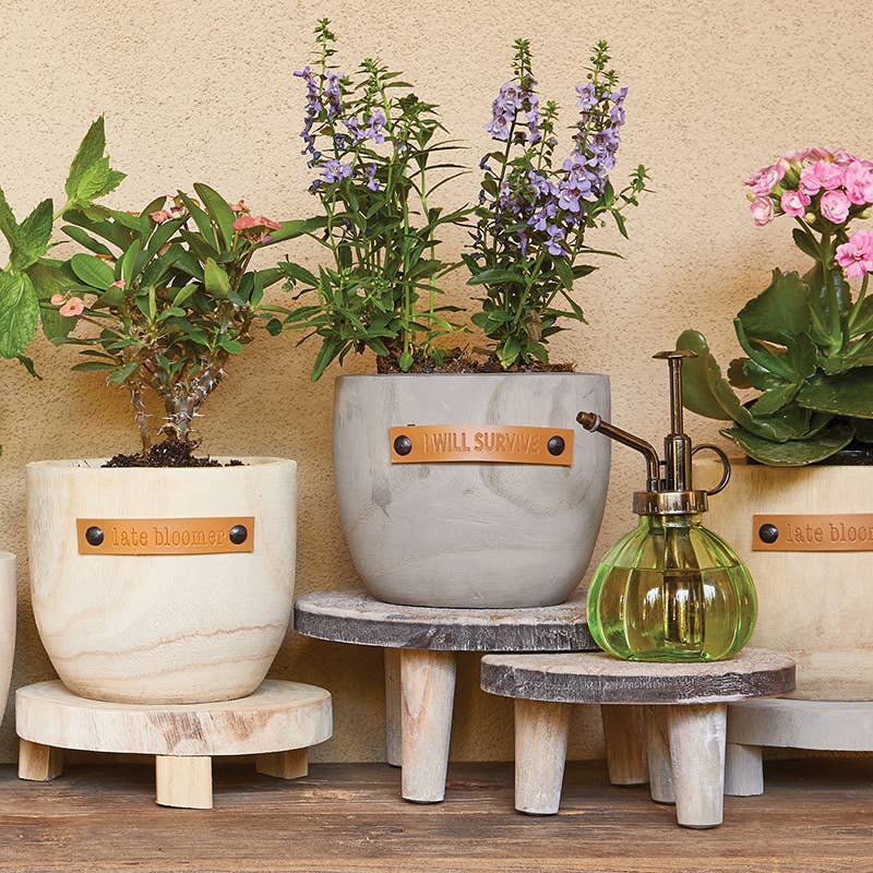 i will survive plant pot I Will Survive Wood Planter - 6" Wooden Plant Pot