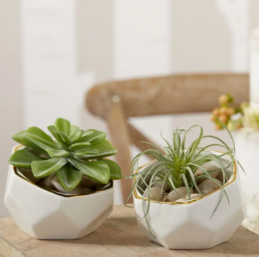 modern succulent pots Geometric Ceramic Planter Set - White and Gold Planters